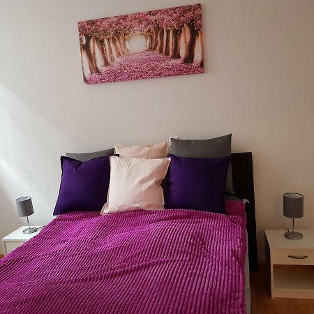 Wiesenblume Apartment โชเนา อิม ชวาร์สวาล์ด ภายนอก รูปภาพ
