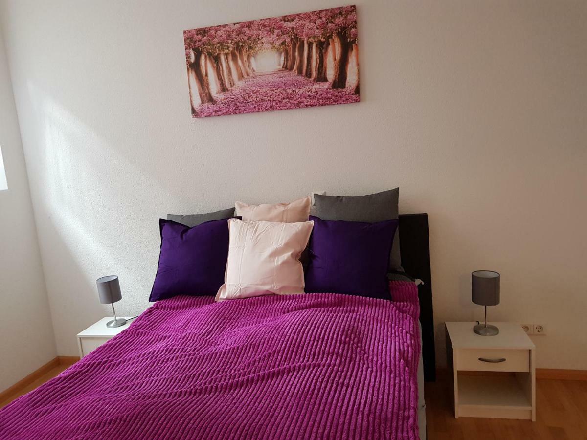 Wiesenblume Apartment โชเนา อิม ชวาร์สวาล์ด ภายนอก รูปภาพ